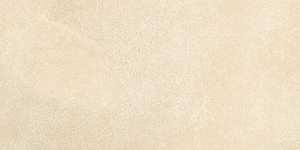 Petra Beige WT9PET11 Плитка настенная 249*500*8,5