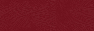 TWU11RMA500 плитка облицовочная Irma 200*600*8