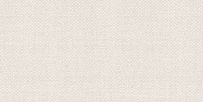 TWU09ATR024 плитка облицовочная Asteria 249*500*7,5